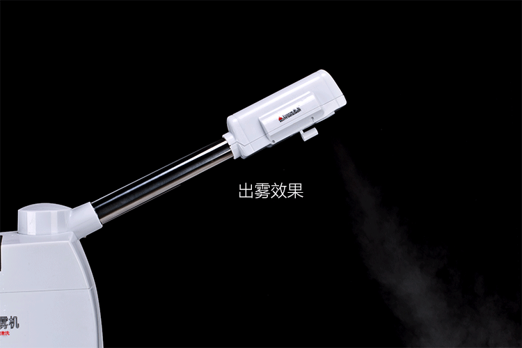 正品包邮泰东338a清洁型单管冷热喷雾机蒸脸器热喷机蒸汽机美容仪
