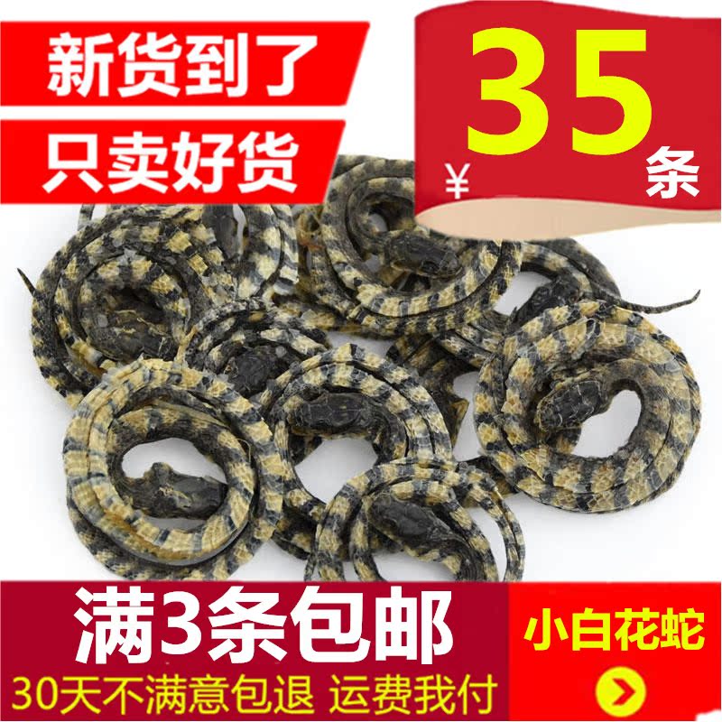 金钱白花蛇中药材大白花蛇小花蛇大金钱白花蛇干银环蛇赤练蛇包邮