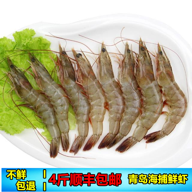 海鲜水产鲜活野生对虾鲜活基围虾海捕大虾活虾青虾明虾大海虾包邮