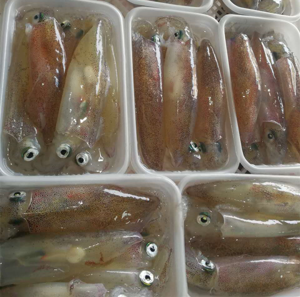 毛蛤蜊 鲜活海鲜水产贝类新鲜蛤蜊小赤贝野生贝类血蛤大毛蚶蚬子