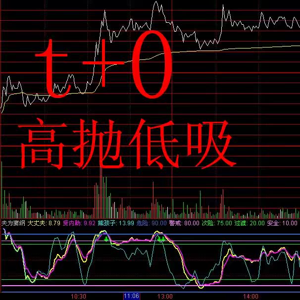 理想金钻指标 夫为妻纲分时t 0副图指标 通达信分时指标公式 源码