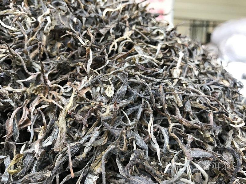 【可定制】2017年普洱茶生茶散茶 头春茶 无量山野放老树茶 500克