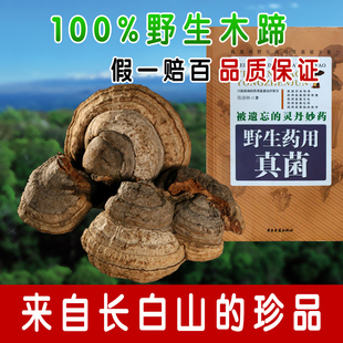 灵芝 长白山野生木蹄层孔菌 正品保证 野生木蹄灵芝 2件包邮