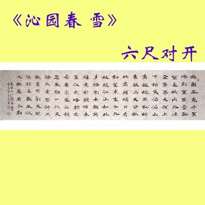 【斗妍阁】名人字画/书法真迹/精品魏碑/《沁园春 雪》!13072704