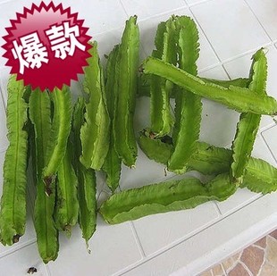 龙豆/四角毛豆/四棱豆 120g 新鲜蔬菜编辑