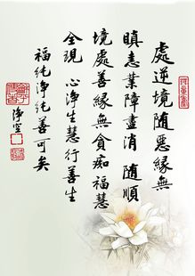 结缘 各种净空老法师墨宝(尺寸a3) 塑封