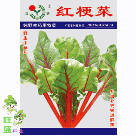 寿光蔬菜 优质 野生红梗菜种子 补血补钙 解毒消肿 可阳台盆栽