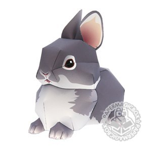 侏儒荷兰兔 纸模 兔子 立体模型 创意礼品 3d手工diy