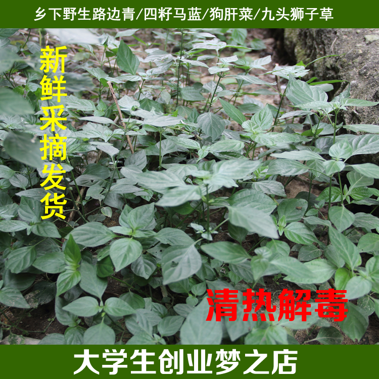 正品[金龙体育]金龙体育乒乓器材店评测 金龙体