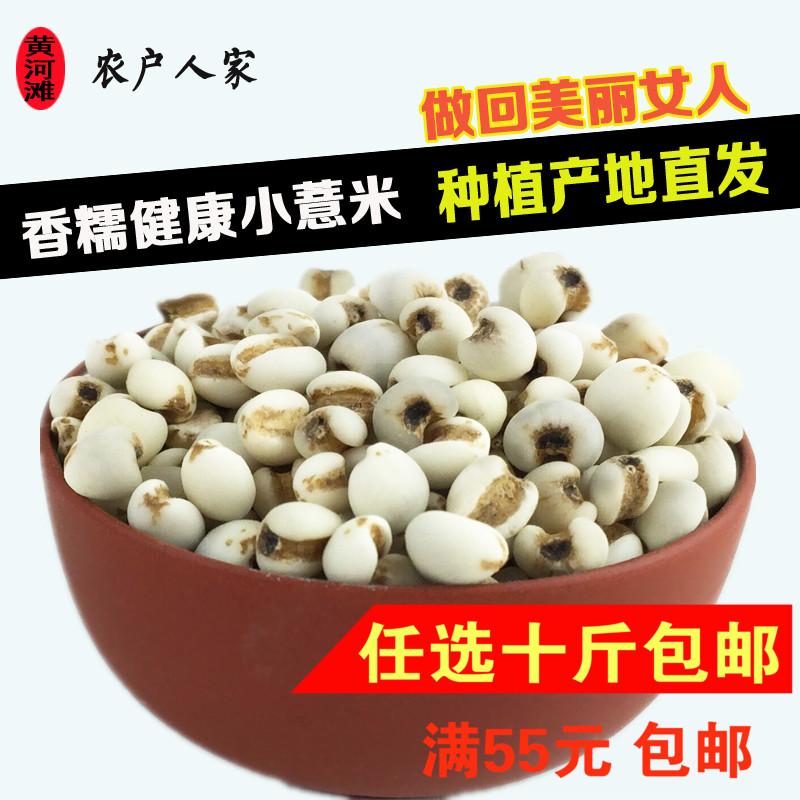山东特产新货薏米仁 农家自产天然杂粮特级薏仁米小薏米仁500g