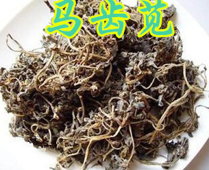 野生干马齿苋马齿草马齿菜五行草长命菜瓜子菜马生菜500g包邮