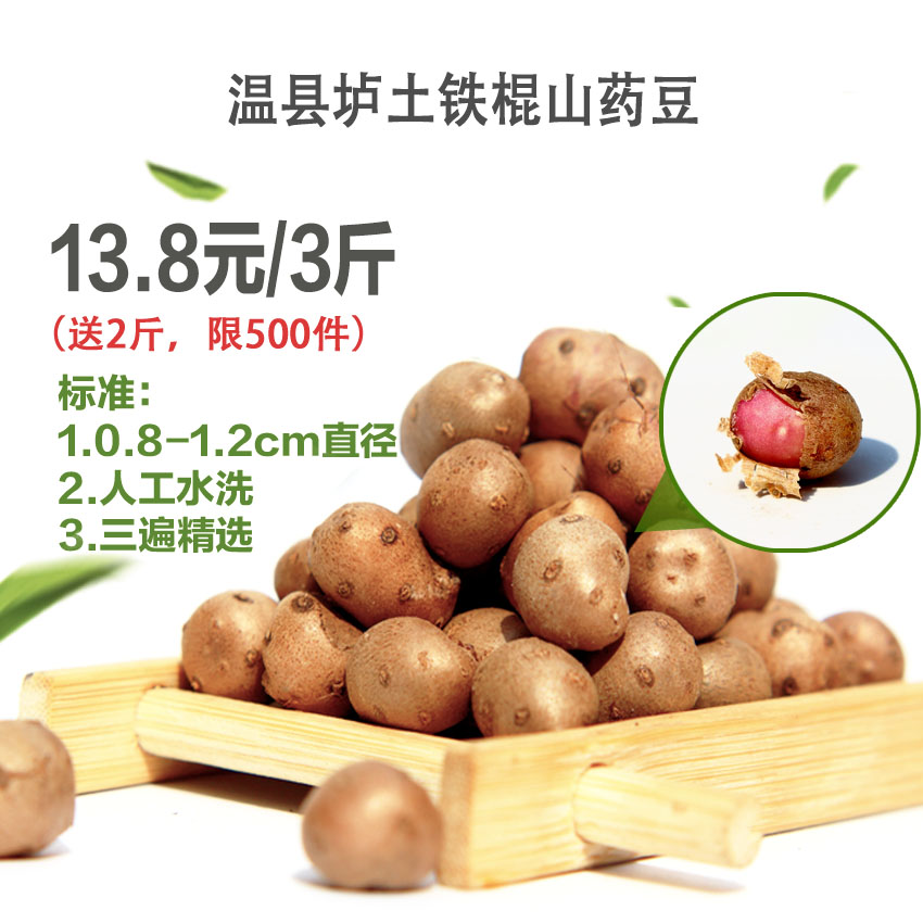 河南焦作温县垆土铁棍山药豆 新鲜山药蛋山药果铁棍山药种子1500g