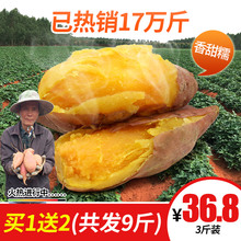 新鲜采挖营养地瓜好吃 广西红泥板栗薯3斤装 买1送2发9斤