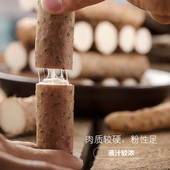新鲜铁棍山药淮山怀山药正宗铁杆铁棍淮山河南焦作500g铁棍山约