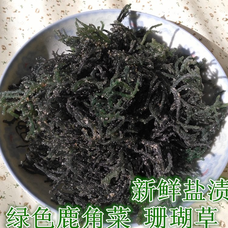 2份包邮盐渍鹿角菜500克绿色珊瑚草藻龙须菜龙角菜海石花菜水晶藻