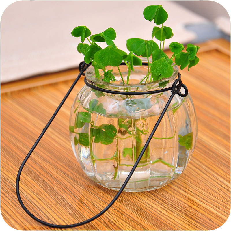 正品[悬挂花瓶]自制悬挂花瓶评测 悬挂式透明玻