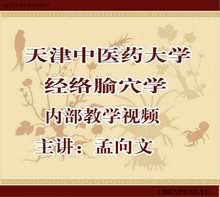 孟向文 中医经络教程 中经络腧穴学内部教学视频116集完整版