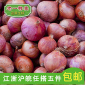 500g 洋葱3.9元 新鲜蔬菜 老一特卖