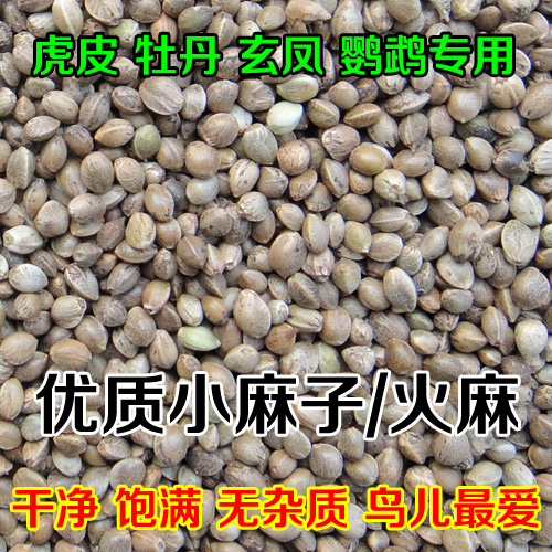 优质小麻子 火麻仁 火麻子 虎皮玄凤 牡丹鹦鹉 鸟粮鸟饲料 500g