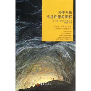 《灵性的自我开战》之后灵性开悟三部曲 灵性冲撞 [美]杰德·麦肯纳