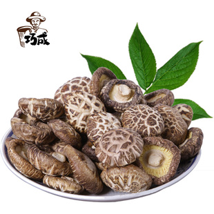 陇南文县2016农家干货食用菌香菇甘肃土特产深山花菇258g推荐