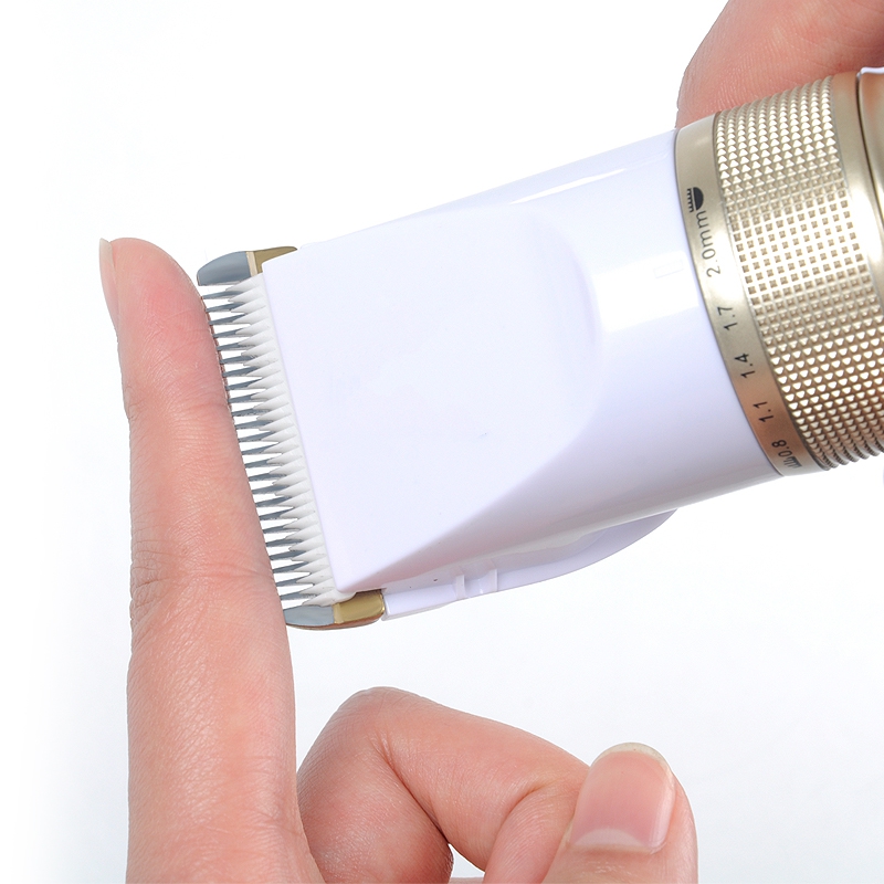 正品[狗剪毛]泰迪狗剪毛步骤图片评测 怎样给宠