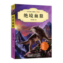 15岁儿童小说课外书籍 现货 动物故事大王沈石溪书9 绝境血狼 沈石溪动物小说 升级版 中外动物小说精品