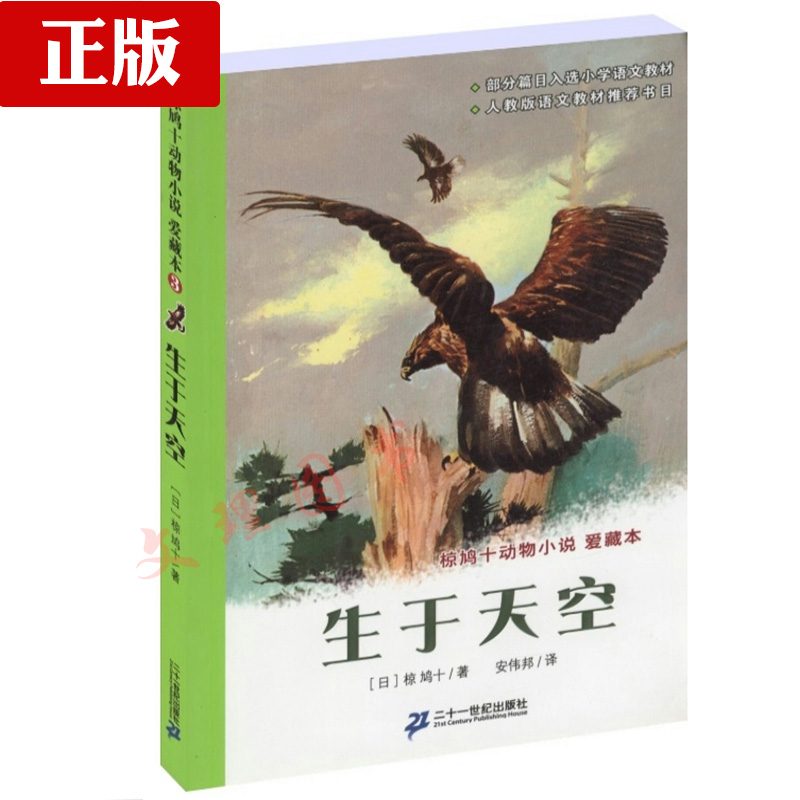 正品[天空 套装]彩虹岛天空套装评测 去吧皮卡丘