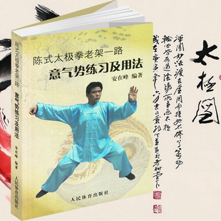 太极拳书籍武术气功太极养生陈氏老架一路入门太极拳全书拳拳法拳术