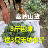 艾叶草 制艾条洗澡泡脚暖宫500g 泡脚包陈艾蒿叶 艾草 野生干艾叶