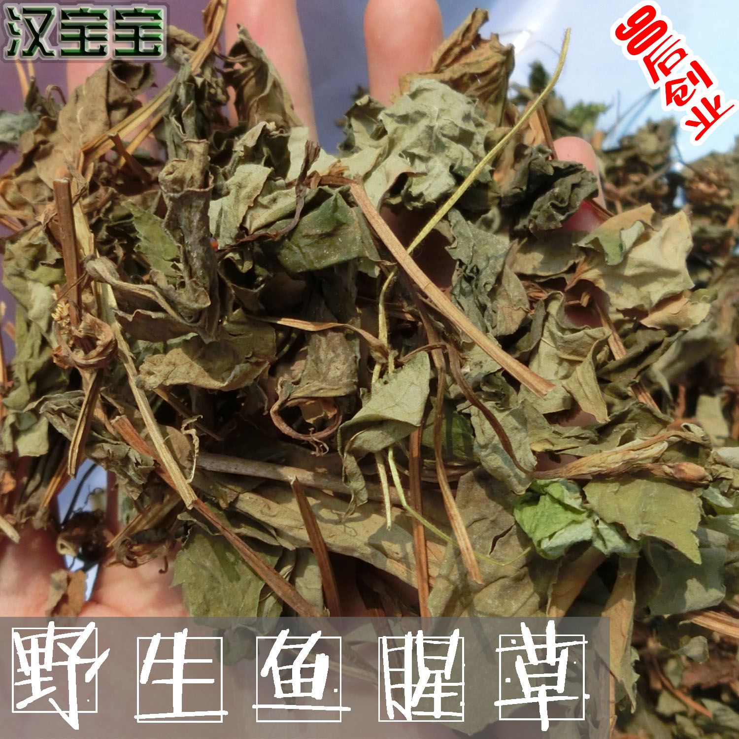 秦岭野生鱼腥草干货中药材鱼腥草干折耳根凉茶2016新货500g包邮