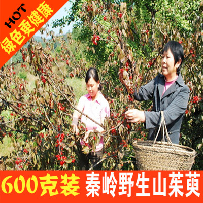 新货野生山茱萸肉中药材山萸肉枣皮生山萸肉茶山芋肉无核500g