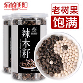 包邮 滋补品 野生食用辣木子种子 辣木籽正宗印度进口 买1送1共500g