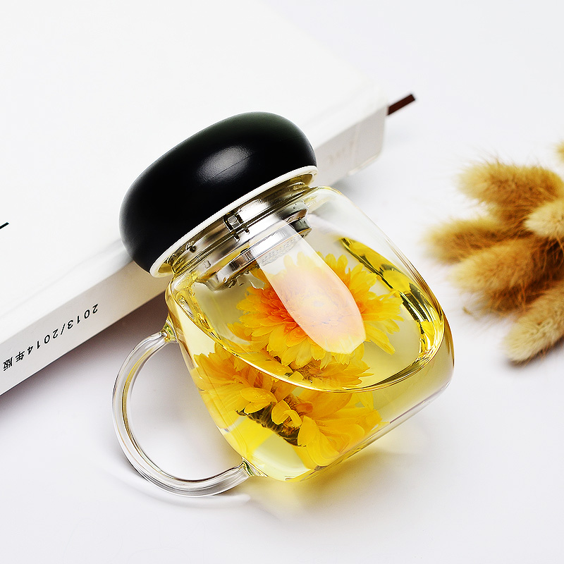 简趣耐热玻璃杯便携泡茶杯子带把手办公水杯带盖有滤网玻璃茶杯