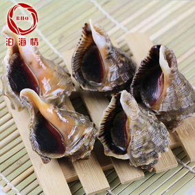 正品[海鲜香螺]济宁小香螺海鲜电话评测 香螺怎