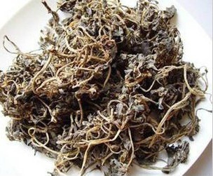 中草药材批发马齿笕、马齿见 中草药500克12元