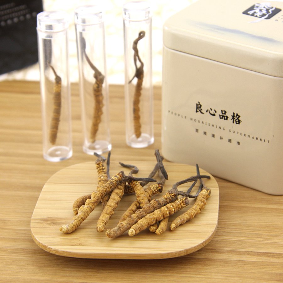 野生冬虫夏草正宗玉树虫草5根/克无断草精选高海拔新鲜虫草可磨粉