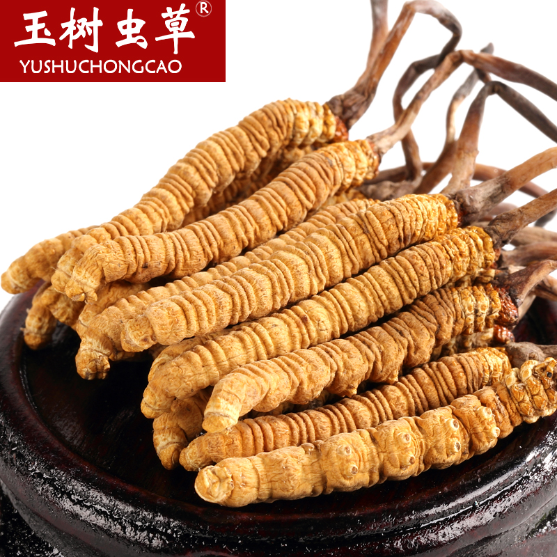 【顺丰包邮】玉树冬虫夏草正品 4条1克装野生正宗虫草 0784-FBTG