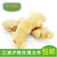 生姜 500g 新鲜老姜江浙沪中通6.9元 山东老姜 老一特卖