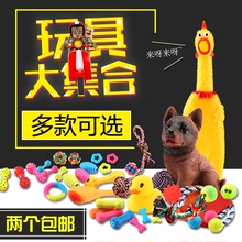 狗狗玩具耐咬磨牙发声尖叫泰迪比熊金毛玩具球幼犬惨叫鸡宠物用品