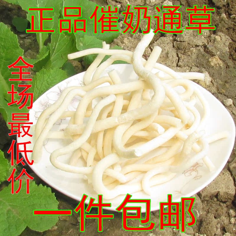 优质四川通草小通草 通奶茶 下奶通奶增奶 治鼻塞 明目 退热