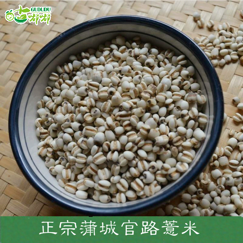 咕嘟嘟福建浦城薏仁米 小薏米仁 优质药食兼用 两件包邮500g