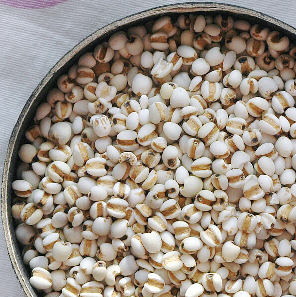 精选小薏米仁 薏米 意米薏仁米 苡米仁500g 东北特产粗粮4件包邮