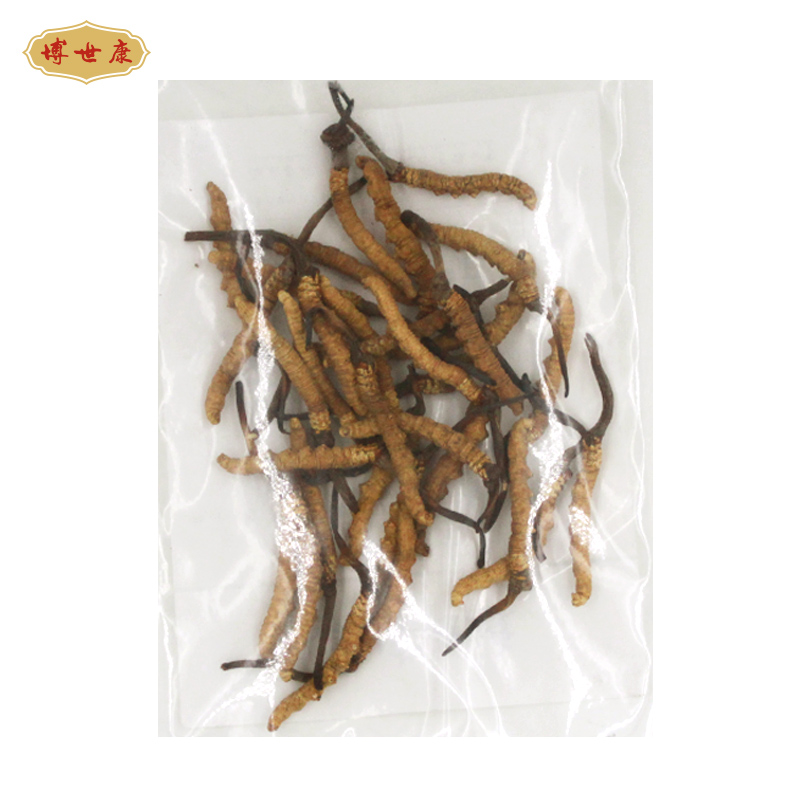 博世康 西藏那曲冬虫夏草正品 10g装