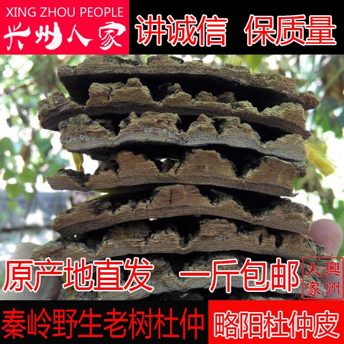 兴州人家 略阳杜仲 杜仲皮500g秦岭野生老树厚杜仲皮中药材包邮