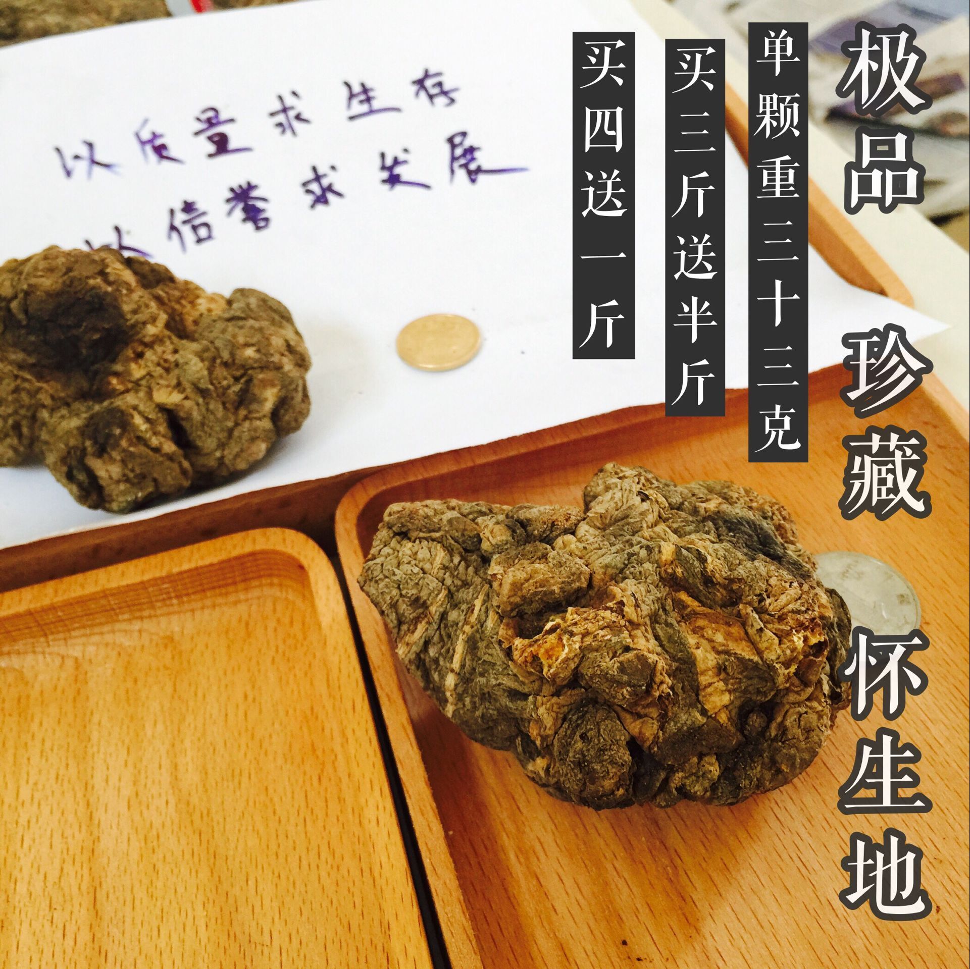 正品生地黄王 15只焦作四大怀药精选优质生地个 地黄500g特价包邮