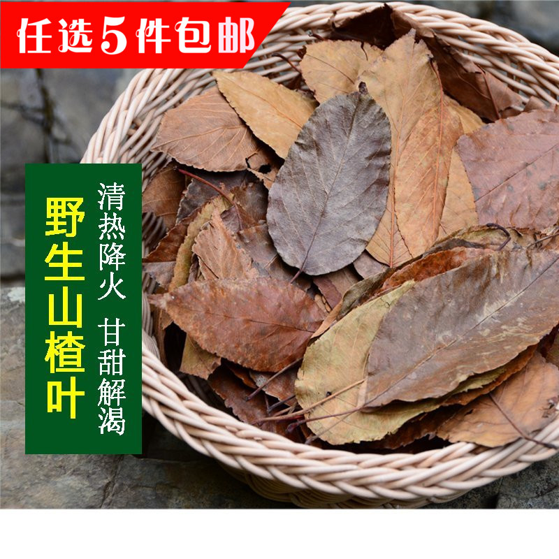 保健降火凉茶天然野生山楂叶干山楂树茶 清热甘甜茶养生茶100克