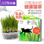 魔金猫草套装 带猫草种子培育土培育盆猫薄荷猫咪零食 猫草猫零食
