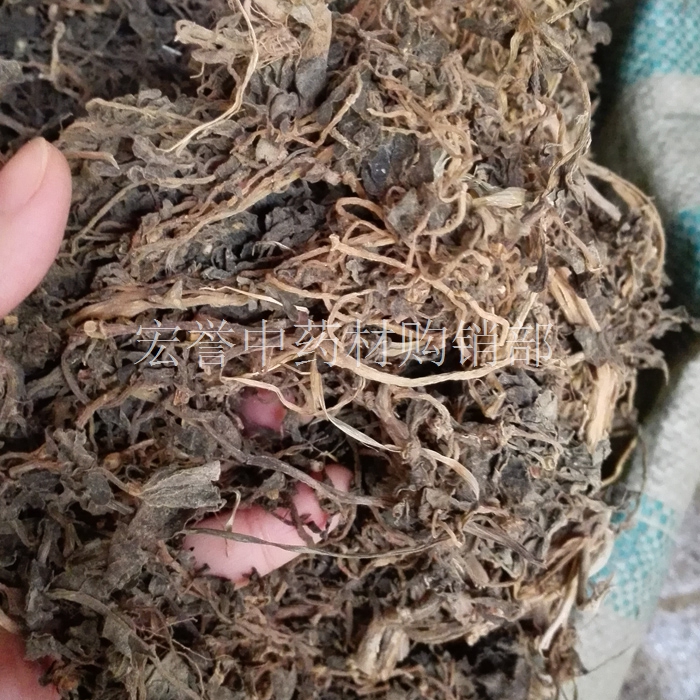 马齿苋 中药材批发 干野菜  马齿菜 马苋 五行草 长命菜 500克
