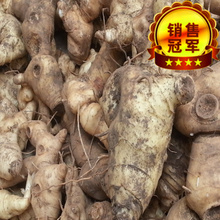 包邮 滋补营养品10斤 鸡头根 现挖泡酒料 新鲜野生黄精 中药材黄精